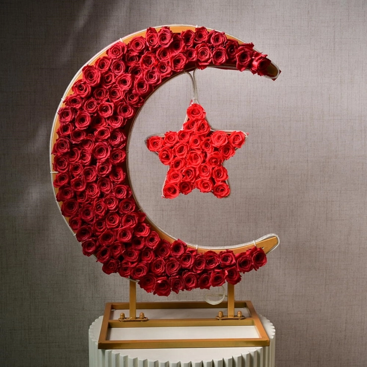 Ay Yıldız