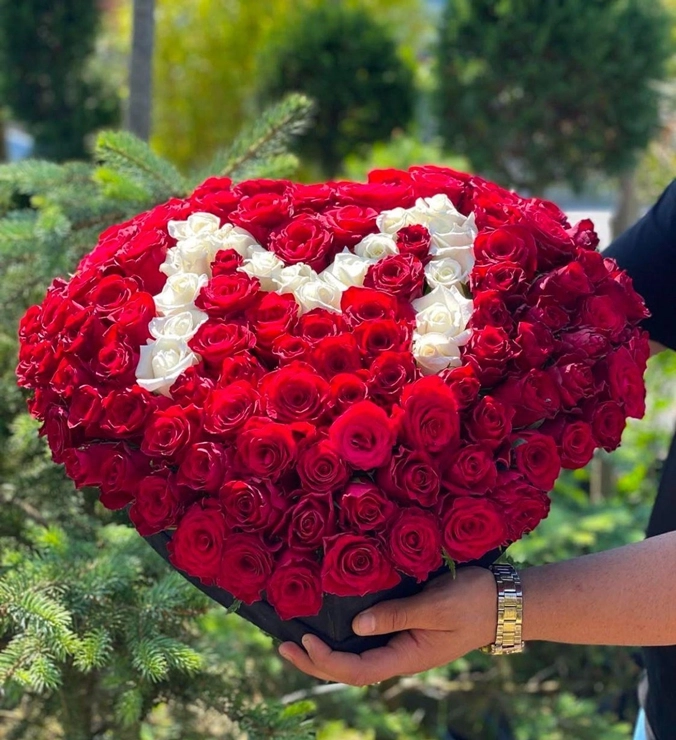 Premium Box Rose