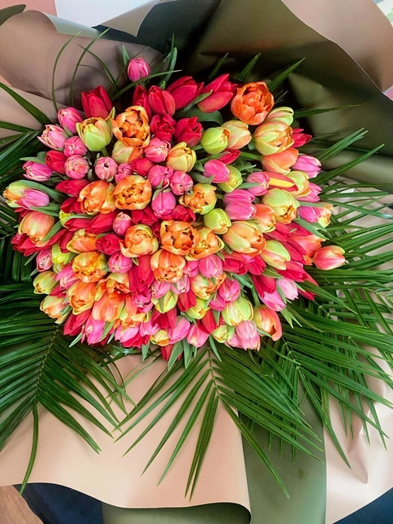 Feelings Tulip