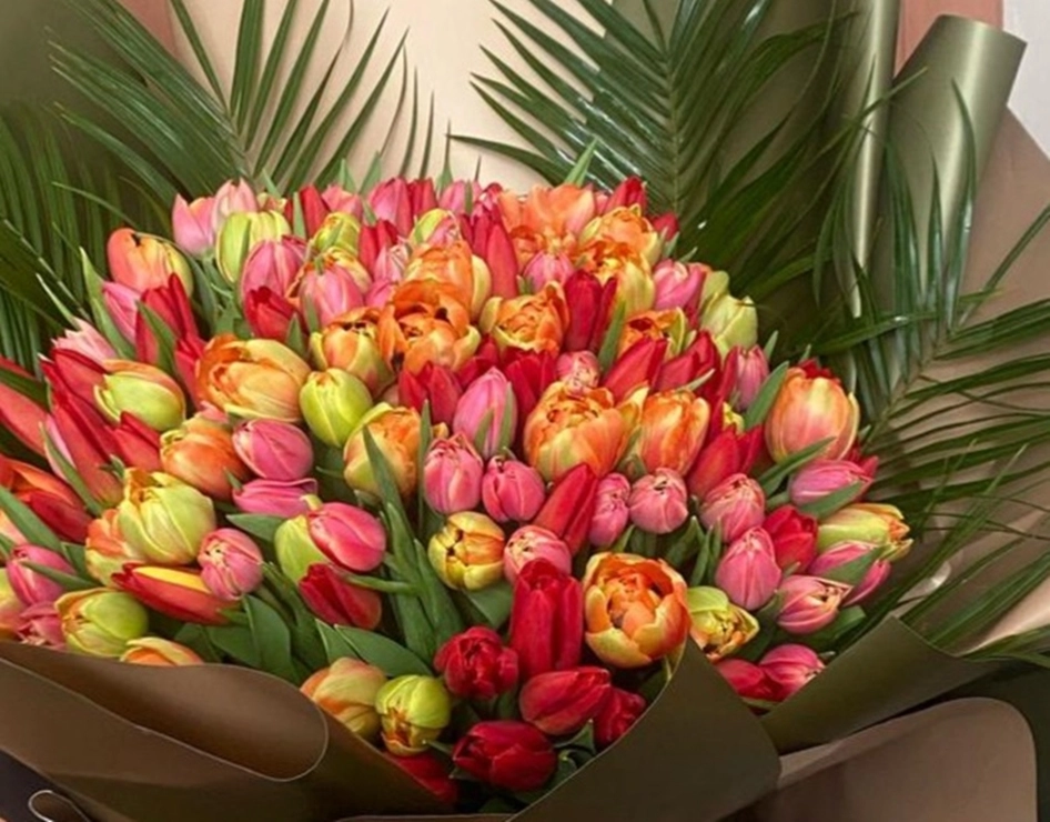 Feelings Tulip