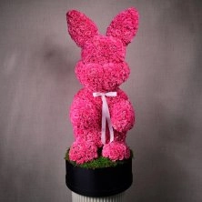Giant Rabbit