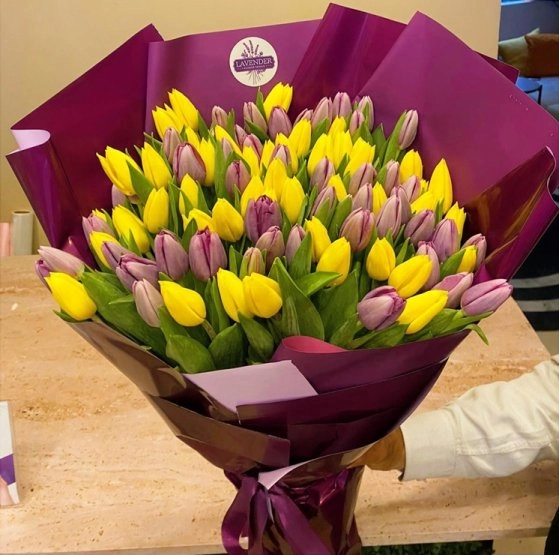 Magical Tulips