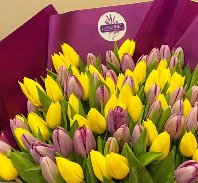 Magical Tulips