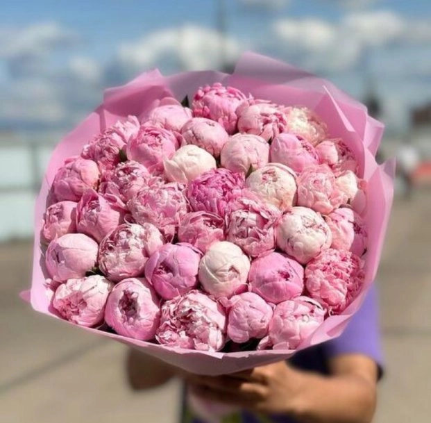 Pink Dreams