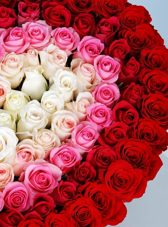 The Royal Bloom Box